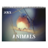 Animals Kalender (Hoes)