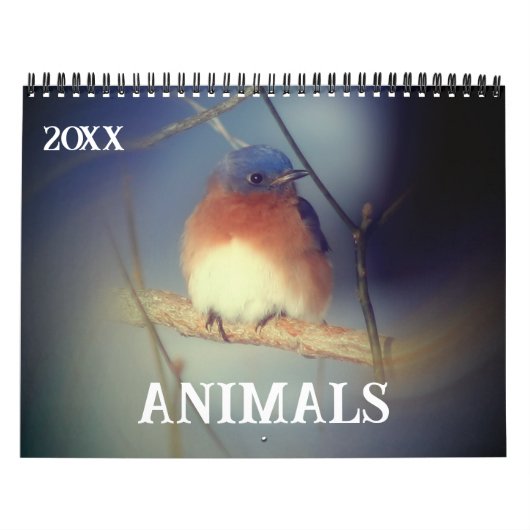 Animals Kalender (Hoes)