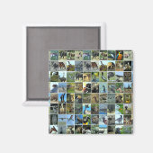 Animals of the world magneet (Voorkant / Achterkant)