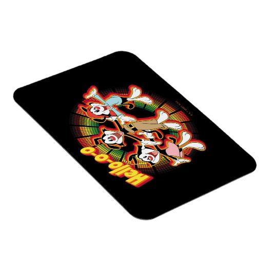 Animaniacs | Hallo-o-o Retro Equalizer Graphic Magneet (Rechterzijde)