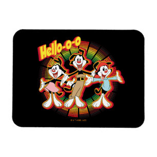 Animaniacs Hallo-o-o Retro Equalizer Graphic Magneet