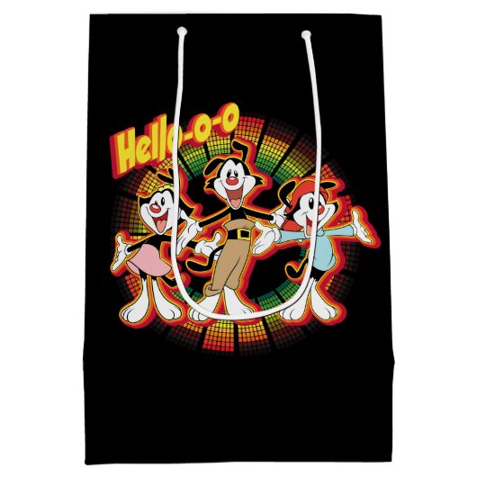 Animaniacs | Hallo-o-o Retro Equalizer Graphic Medium Cadeauzakje (Achterkant)