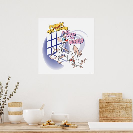 Animaniacs | Overname wereldbeeld Poster (Keuken)