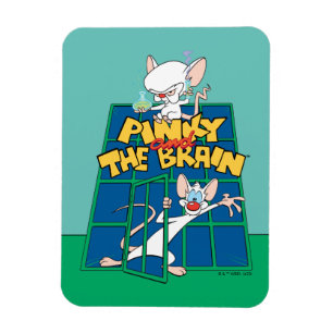 Animaniacs Pinky and The Brain Cage Graphic Magneet