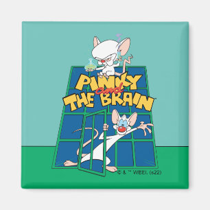 Animaniacs   Pinky and The Brain Cage Graphic Magneet