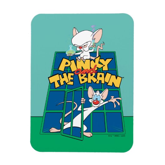 Animaniacs | Pinky en Brain Cage Graphic Magneet (Verticaal)