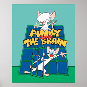 Animaniacs   Pinky en Brain Cage Graphic Poster