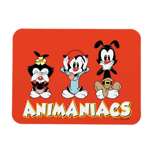 Animaniacs | Warner Siblings "No Evil" grafische k Magneet (Horizontaal)