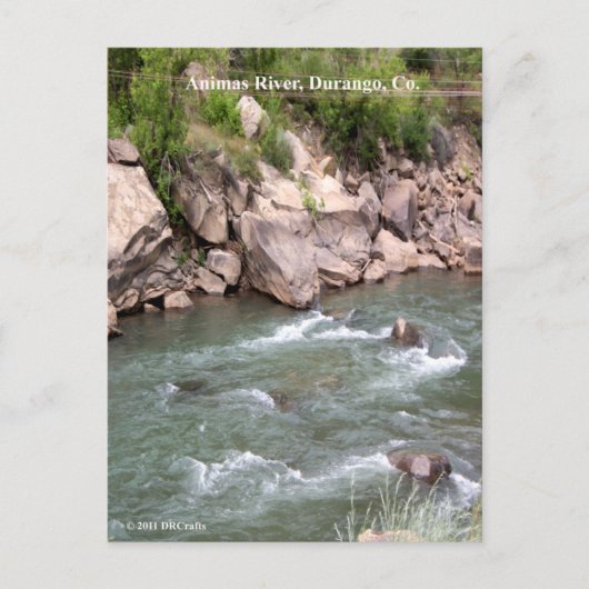 Animas de Rapids Briefkaart (Voorkant)