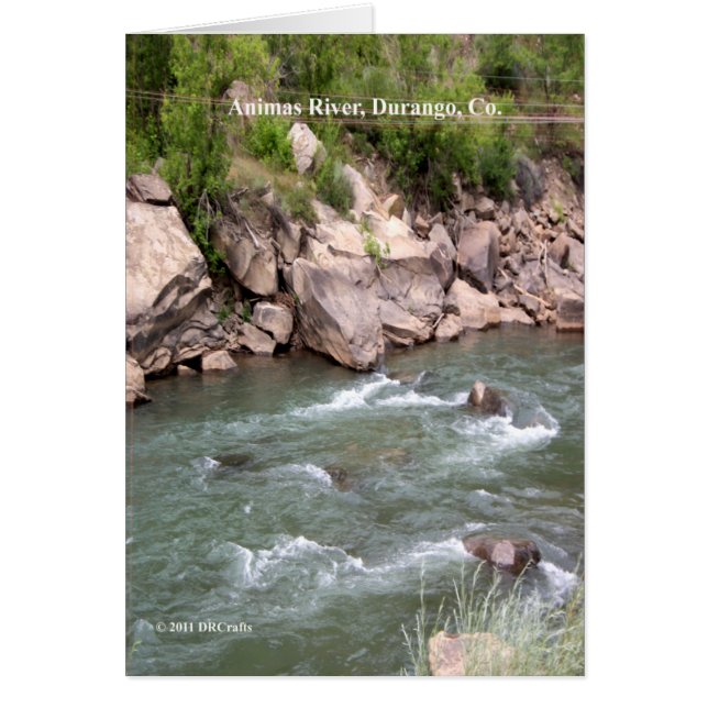 Animas River Rapids (Devant)
