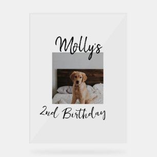 Animateur chien chat animal photo moderne simple