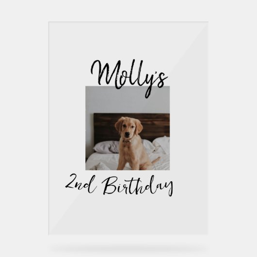 Animateur chien chat animal photo moderne simple (Recto)