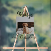 Animateur chien chat animal photo moderne simple (Neutre)