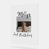 Animateur chien chat animal photo moderne simple (Angle)