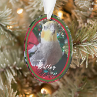 Animaux Acrylique de Noël Ornament Oiseau personna