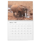 Animaux africains Calendrier 2026 (Feb 2027)