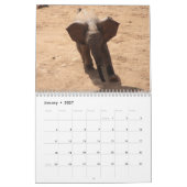 Animaux africains Calendrier 2026 (Jan 2027)