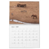 Animaux africains Calendrier 2026 (Mar 2027)