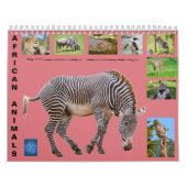Animaux africains Calendrier des 12 mois (Protection)