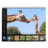 Animaux africains Calendrier des 12 mois (Protection)