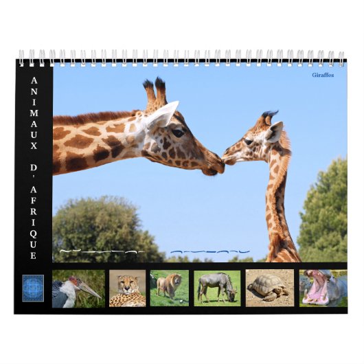 Animaux africains Calendrier des 12 mois (Protection)
