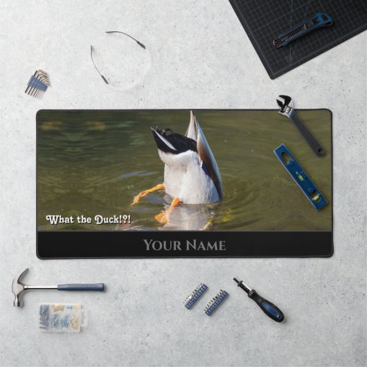 Animaux amusants canard de plongée canard nager (Poste de travail)