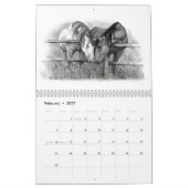 ANIMAUX AU CRAYON : CALENDRIER DE DESSINS DE (Feb 2027)