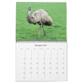 animaux australiens calendrier 2027 (Jan 2027)
