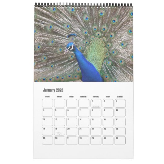 Animaux Calendrier 20XX (Jan 2026)