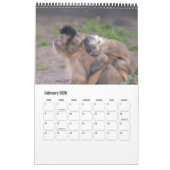 Animaux Calendrier 20XX (Feb 2026)