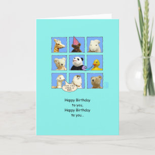 Animaux d'anniversaire pandémiques dans la carte W