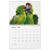Animaux dans le calendrier 2015 de l'amour | (Feb 2027)