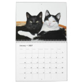 Animaux dans le calendrier 2015 de l'amour | (Jan 2027)