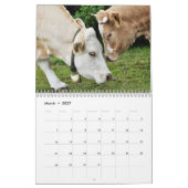 Animaux dans le calendrier 2015 de l'amour | (Mar 2027)