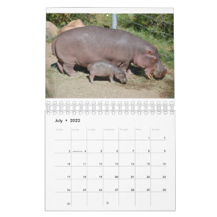 Animaux dans le monde Calendrier 2021 de 5,5 po x