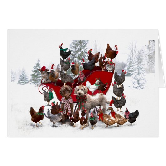 ANIMAUX DE BARNYARD AVEC CARTE DE NOËL SLEIGH (Devant horizontal)