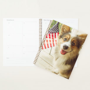 Animaux de bébés cutest   American Flag Corgi