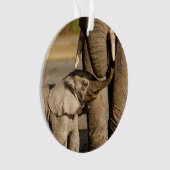 Animaux de bébés cutest | Baby Elephant & Mama (devant)