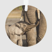 Animaux de bébés cutest | Baby Elephant & Mama (dos)