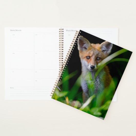 Animaux de bébés cutest | Baby Red Fox (Devant avec enveloppe)