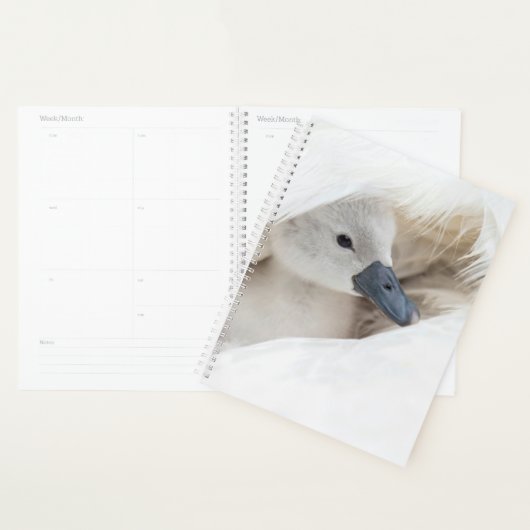 Animaux de bébés cutest | Bébé Mute Swan (Devant avec enveloppe)