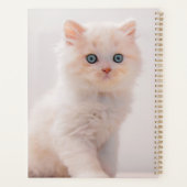 Animaux de bébés cutest | Blue Eye Kitten (Dos)