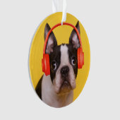 Animaux de bébés cutest | Casques Terrier de Bosto (devant)