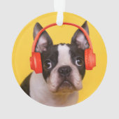 Animaux de bébés cutest | Casques Terrier de Bosto (dos)