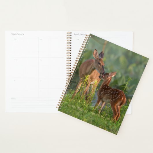 Animaux de bébés cutest | Cerf et bébé (Devant avec enveloppe)