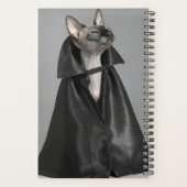 Animaux de bébés cutest | Chat sans poil Sphynx (Dos)