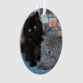 Animaux de bébés cutest | Chatons persans sur couv (devant)