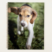 Animaux de bébés cutest | Chiot Beagle (Devant)