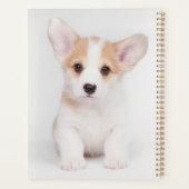Animaux de bébés cutest | Chiot de Corgi blanc (Dos)