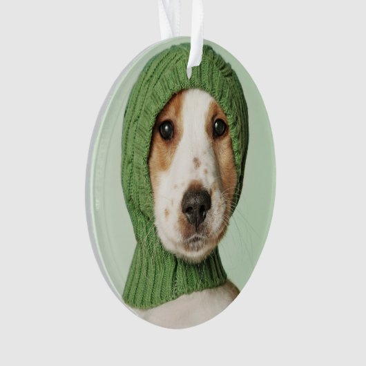 Animaux de bébés cutest | Cocker Spaniel (devant)